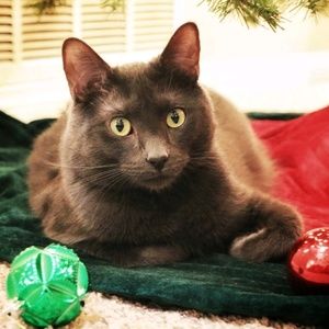 Meet your Posher, Nancy